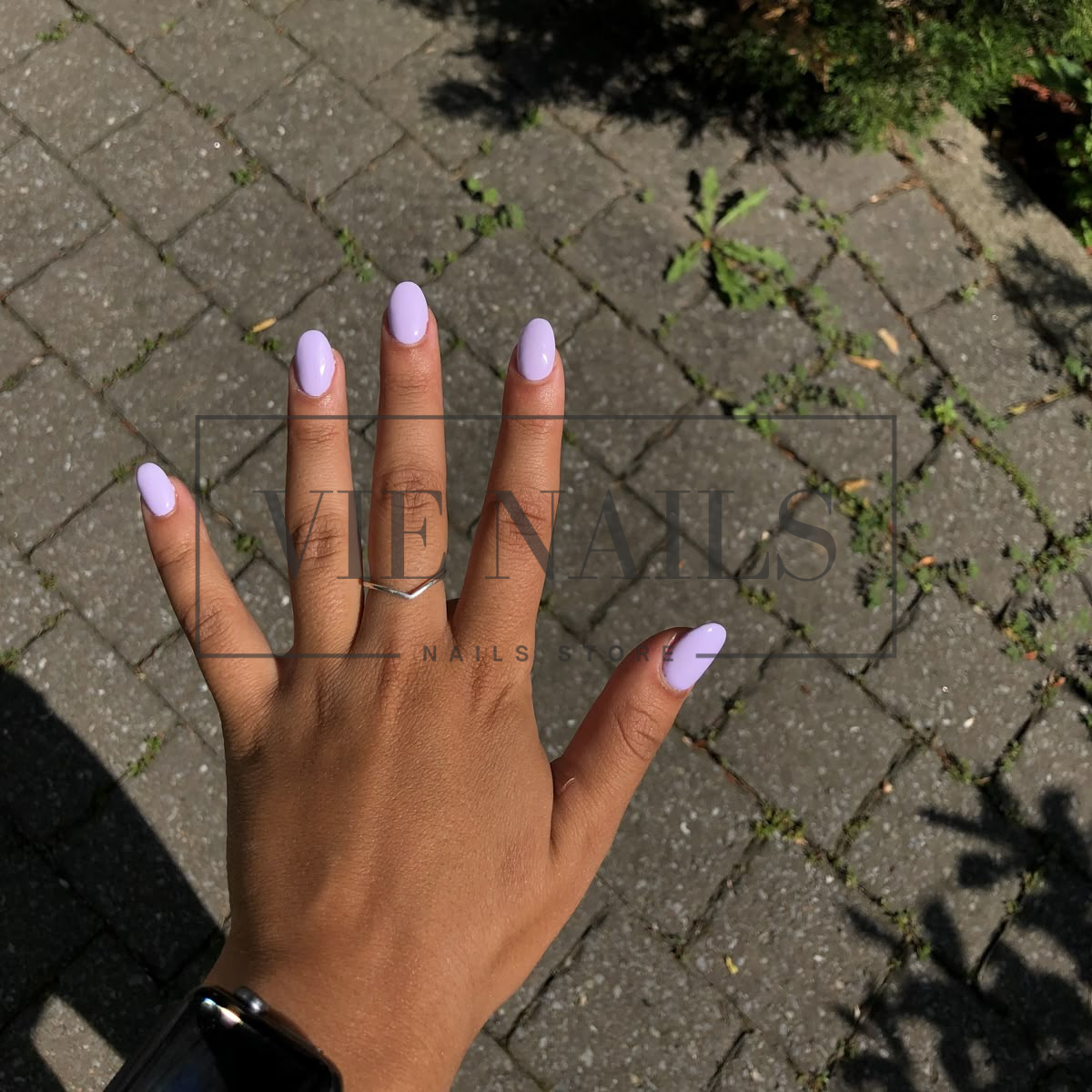 Lavender Dusk Gradient
